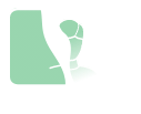 See Videos & Webinars