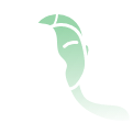 See Efficacy in Cervical Dystonia